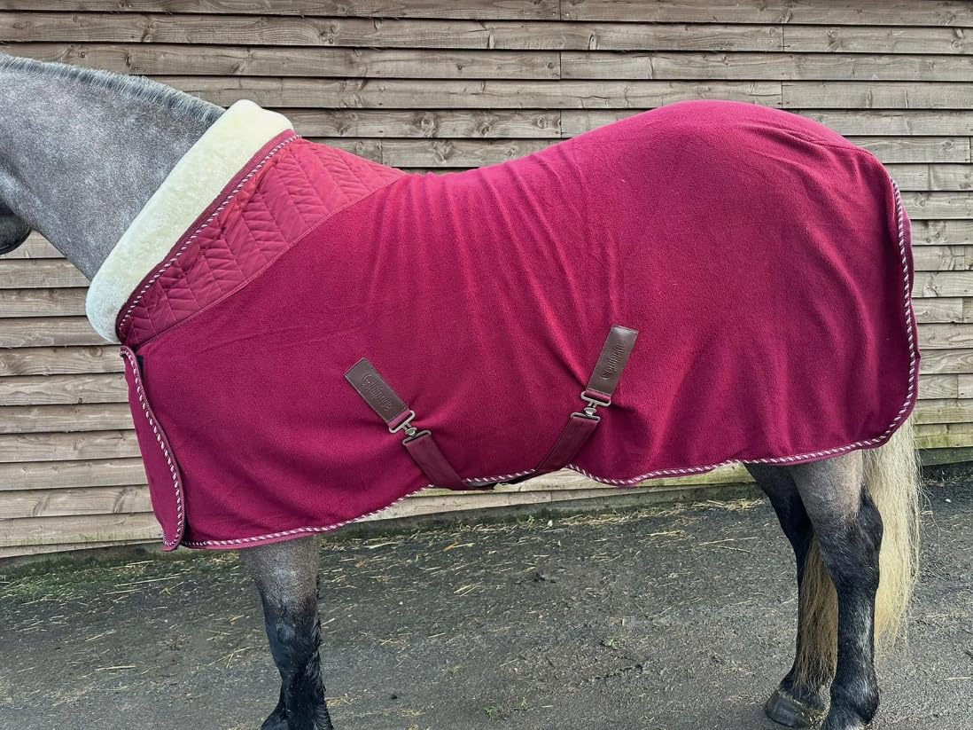 Premium Horse Fleece Show Rug, Burgundy with White Collar, Quilted Pattern, Luxury Cord Trim, Removable Chest Closure Size 4'9" to 7'0" Burgundy (5'6")