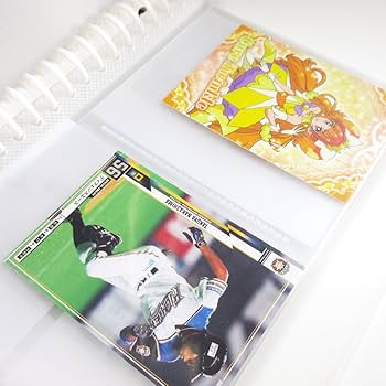 Amazon.co.jp: ホークアイ 【B6/2P/ファイル】B6リング