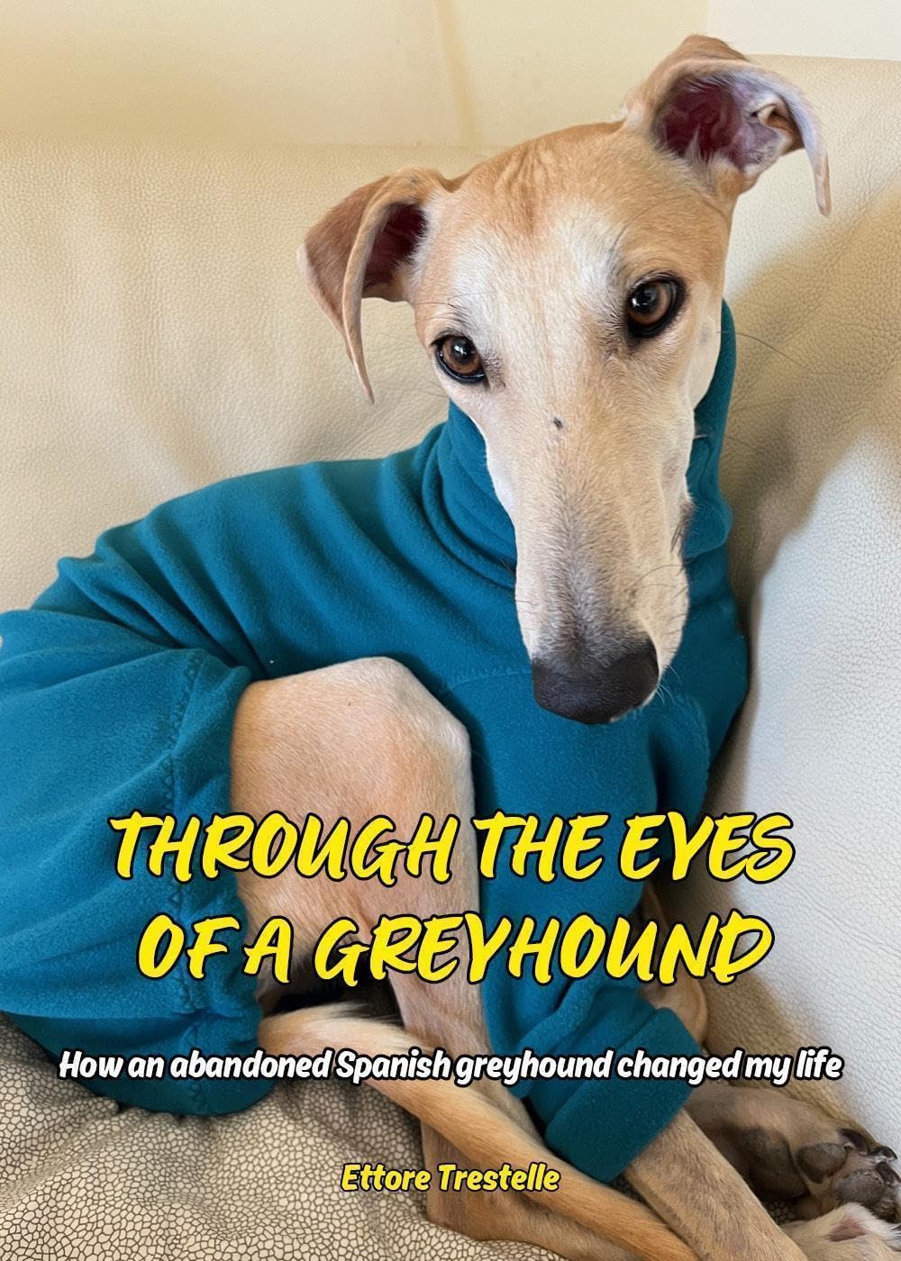 Through the Eyes of a Greyhound