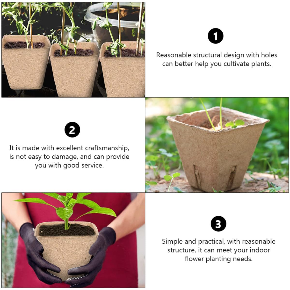 TOYANDONA 100pezzi Tazza Di Carta Per Coltivazione Vivaio Produzione Vivaistica Vaso Per Piante Degradabile Adatto Per Piantagione Di Succulente e Trapianto