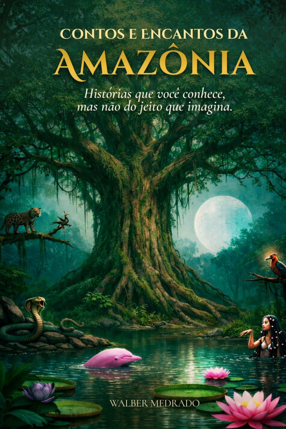 Contos e Encantos da Amazônia: Histórias que você conhece, mas não do jeito que imagina.