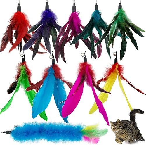 CATENESS Recambios de juguetes de plumas para gatos, 10 piezas de repuesto de plumas para gatos, juguete de plumas de interacción para gatos de