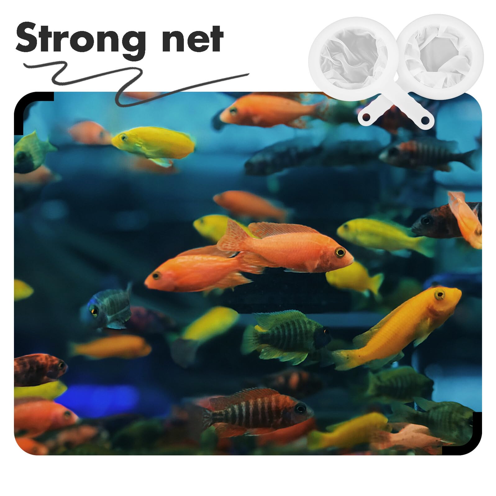 Aquarium Fischernetze Feinmaschig und Pp und Polyester 2 Stück-Pack Hohe Belastbarkeit (100 und 400 Mesh) Weiß Einfach zu Verstauen für Aquarien und Garnelen