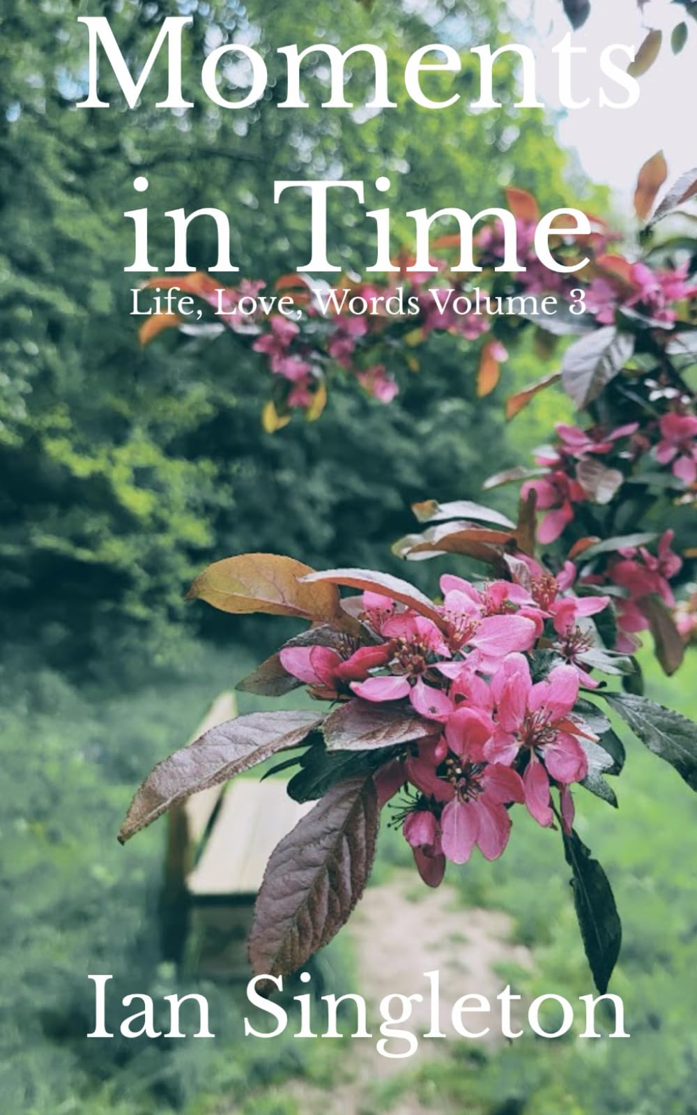 Moments in Time: Life, Love, Words Volume 3