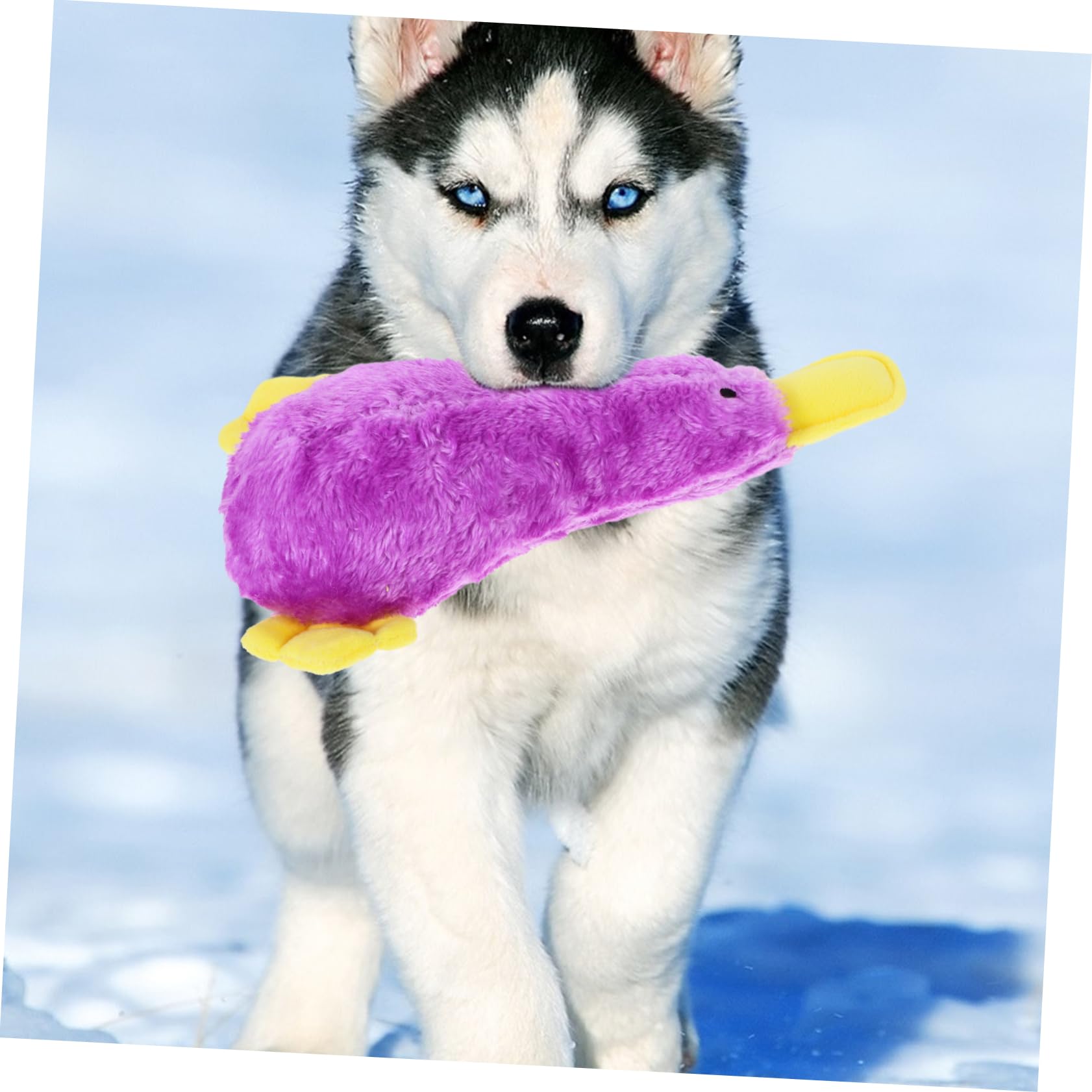 HANABASS Jouet pour Chien Qui Couine Jouet à Mâcher pour Chiot Oiseau Motif Dessin Animé