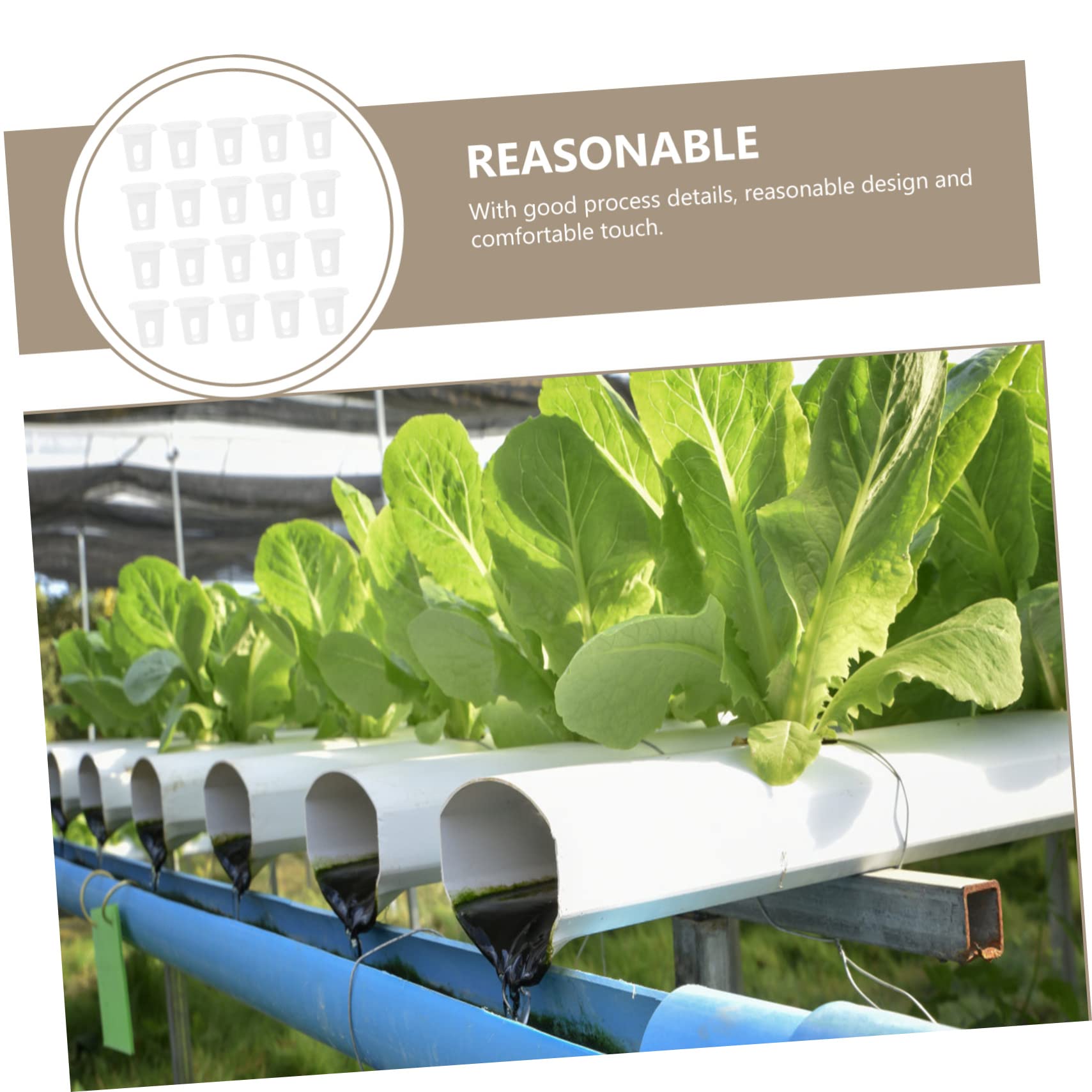 IWOWHERO 100Pcs Garden Germination Cups Durable Hydroponic Planting Baskets for Soilless Cultivation Design for Strong Root Development Suitable for Vegetables and Fruits