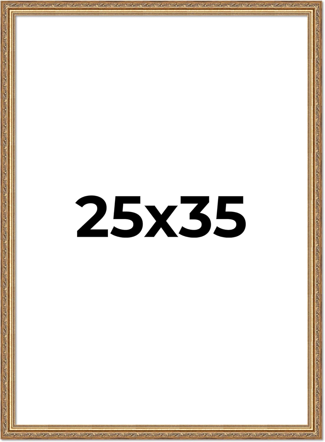 25x35 Frame Gold Solid Wood Picture Frame Width 1.25 Inches | Interior Frame Depth 0.375 Inches | Warwick Metallic Photo Frame Complete with UV Acrylic, Foam Board Backing & Hanging Hardware