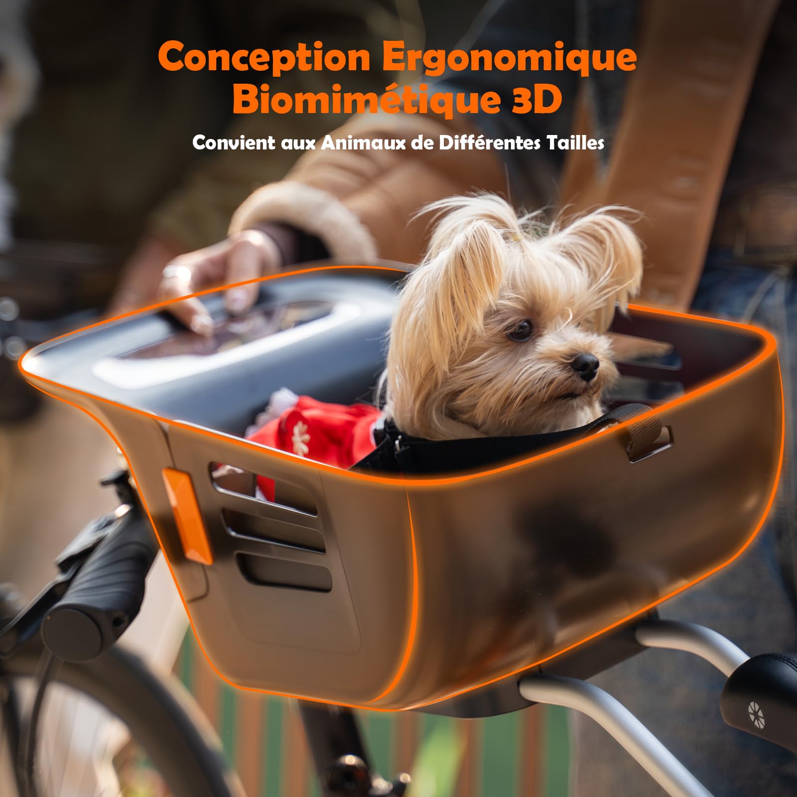 Panier de Vélo Avant pour Chien Chat 12KG, Siège Robuste Intégré, Coussin Nylon Imperméable, Sangles Réglables, Cadre Métal Antirouille