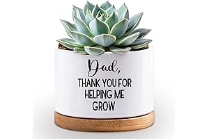 Cute Planters for Indoor Plants: The Perfect Thank You Gift for Plant Dads