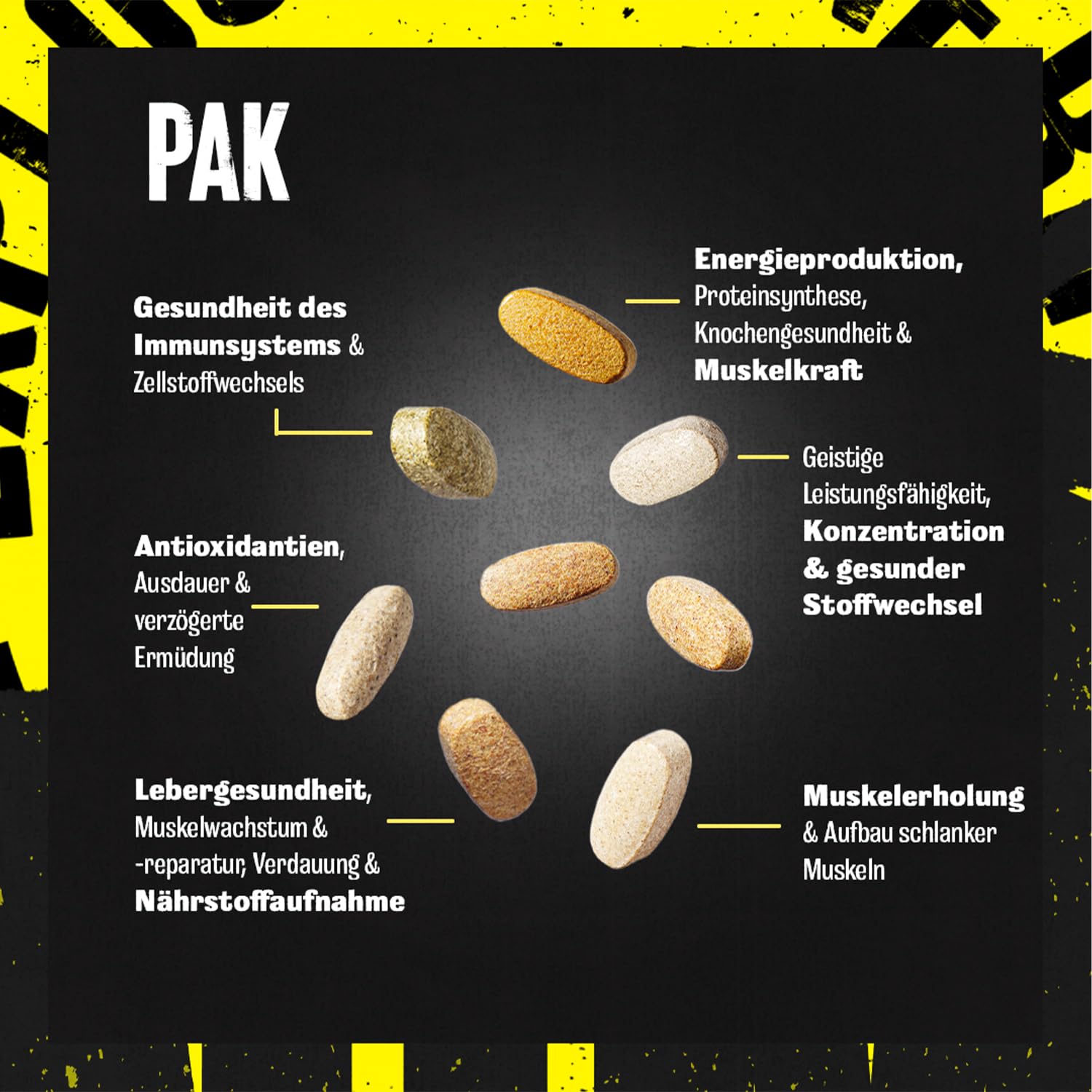 ANIMAL Pak Ultimate Foundation - 12-in-1 Multivitamin-Komplex mit Vitaminen, Mineralien & Aminosäuren - mit Vitamin D3 K2 & Magnesium - 44 Packungen mit je 8 Tabletten