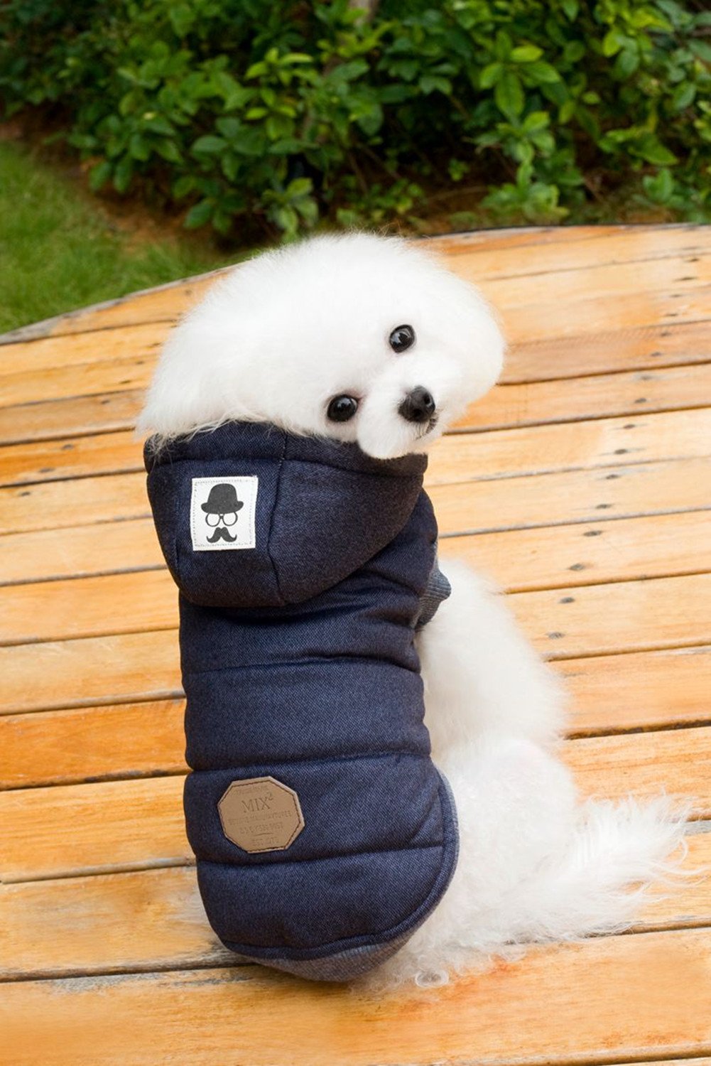 JIEYA Small Dog Hoodie with Hat Pet Sweatshirt Winter Warm Thicken Coat for Puppy (L, Navy Blue)