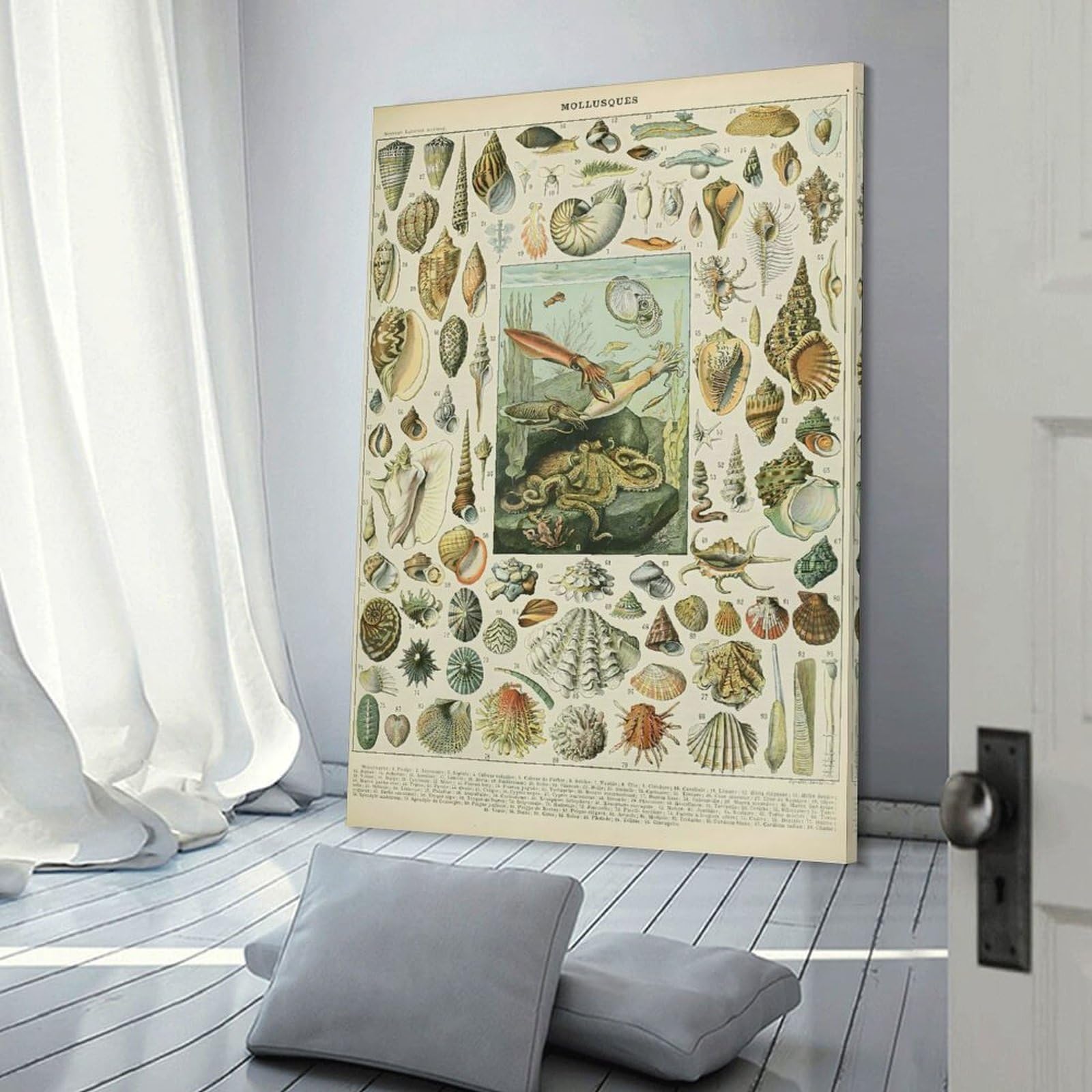 Junmoney Vintage Mollusques Wall Art Print, 24x36inch(60x90cm), for Study, Office Or Focused Interiors, Home Office Artwork with Decorative Appeal