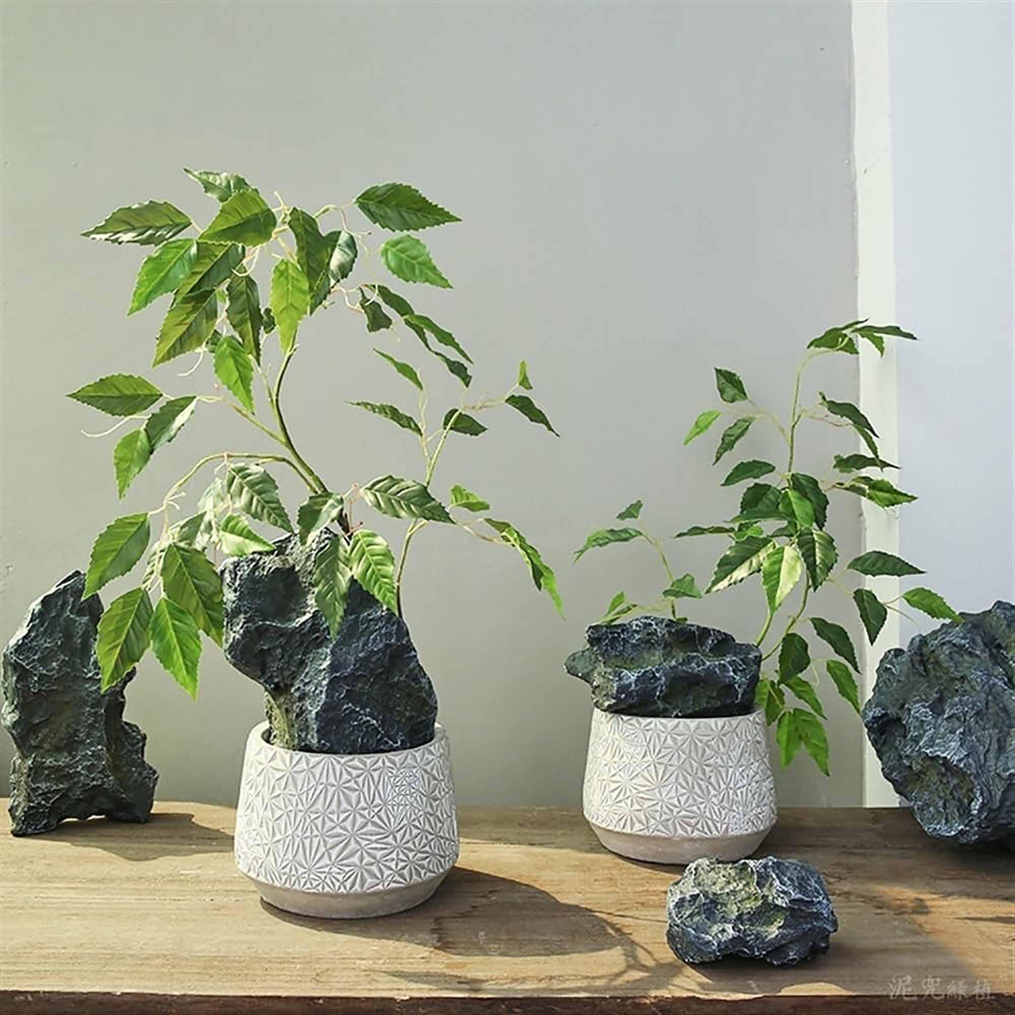blumenkasten samen Balkonbox Summer Sunset kaufen
