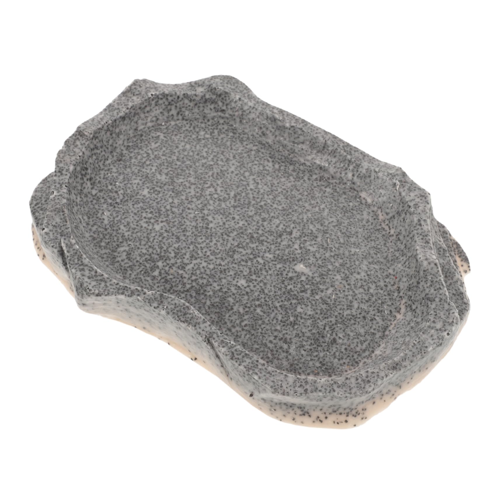 INOOMP 4piezas Tazón De para Reptiles Plato Reutilizable Simulación para Alimentación De Pequeñas para y Animales