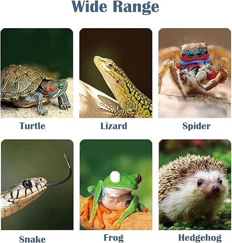 Miniatura 8 de Lámpara de calor para reptiles, lámpara de calefacción de tortuga UVA UVB con dos bombillas de calor, luz de tortuga con manguera giratoria de 360 y