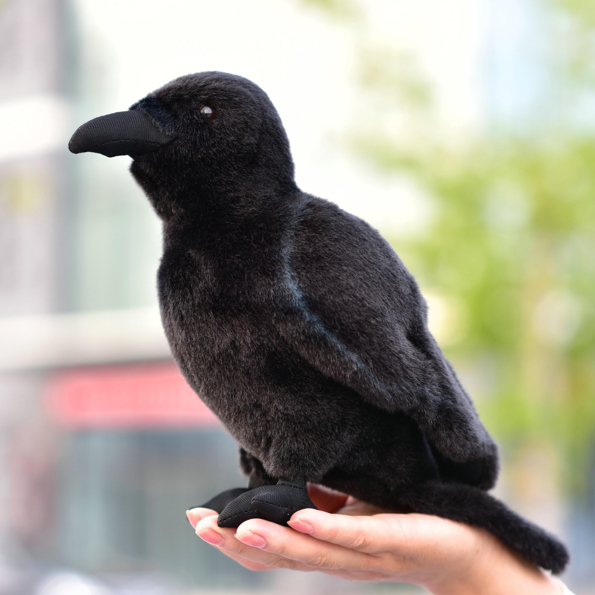 Amazon.co.jp: LIUHONGFEI シミュレーションカラスぬいぐるみ 動物鳥