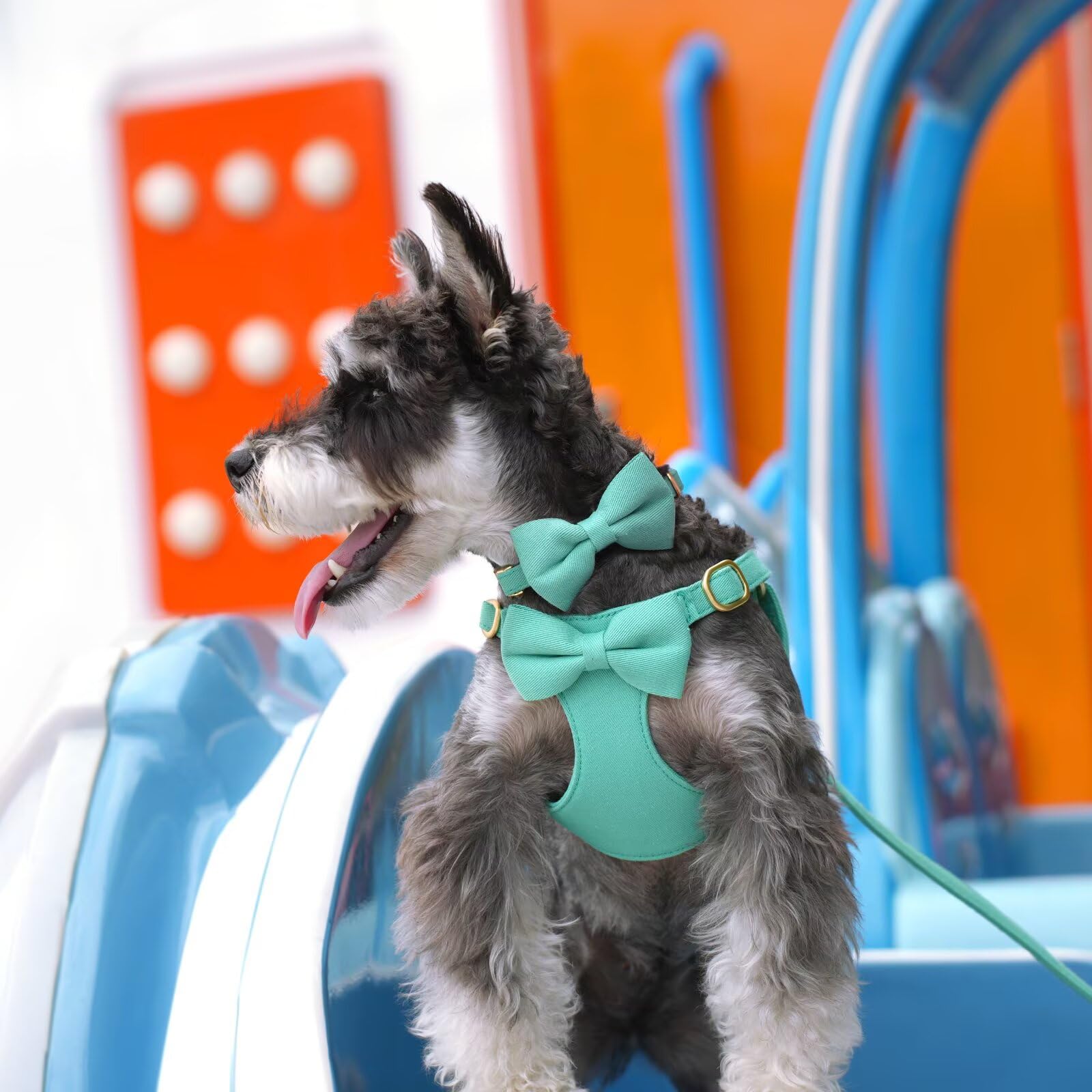 Beirui Niedliches Hundegeschirr für kleine Hunde mit DREI abnehmbaren Schleifen, verstellbares Hundegeschirr, Halsband und Leine mit sicherer Metallschnalle für den täglichen Spaziergang, Partys und