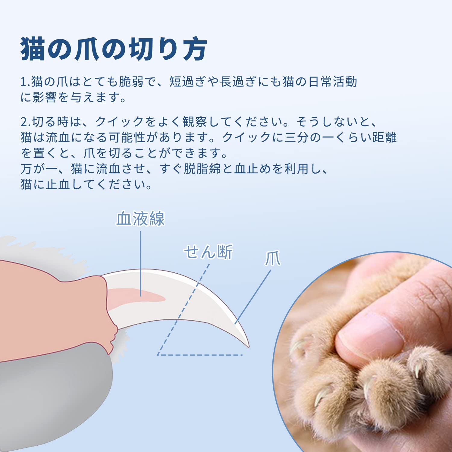 猫 爪 切り 方