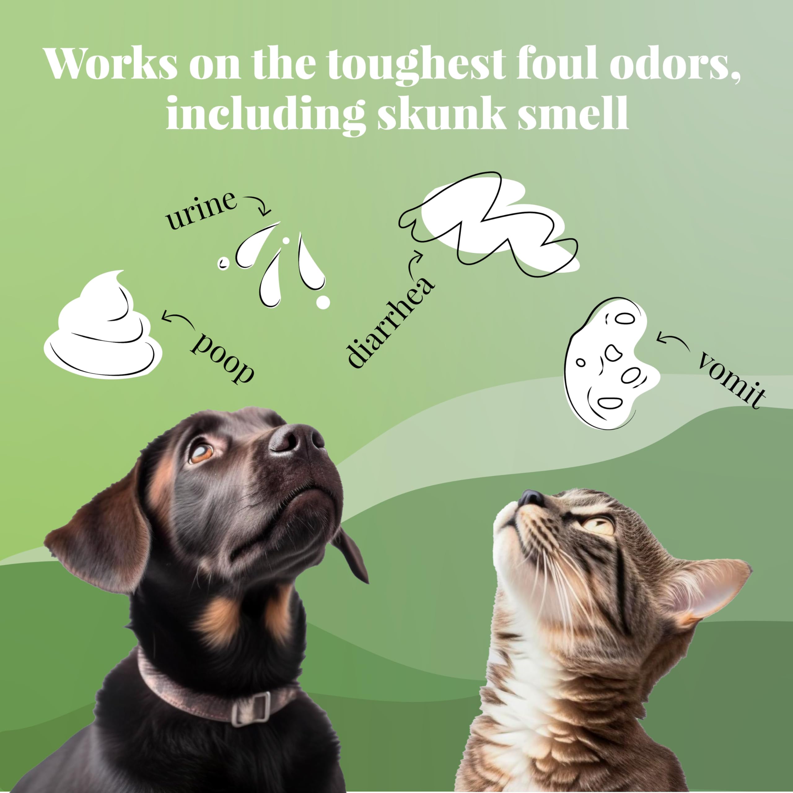 Citrus Magic Pet - Eliminador de Manchas y olores, Pack de 3, 22 onzas Cada uno