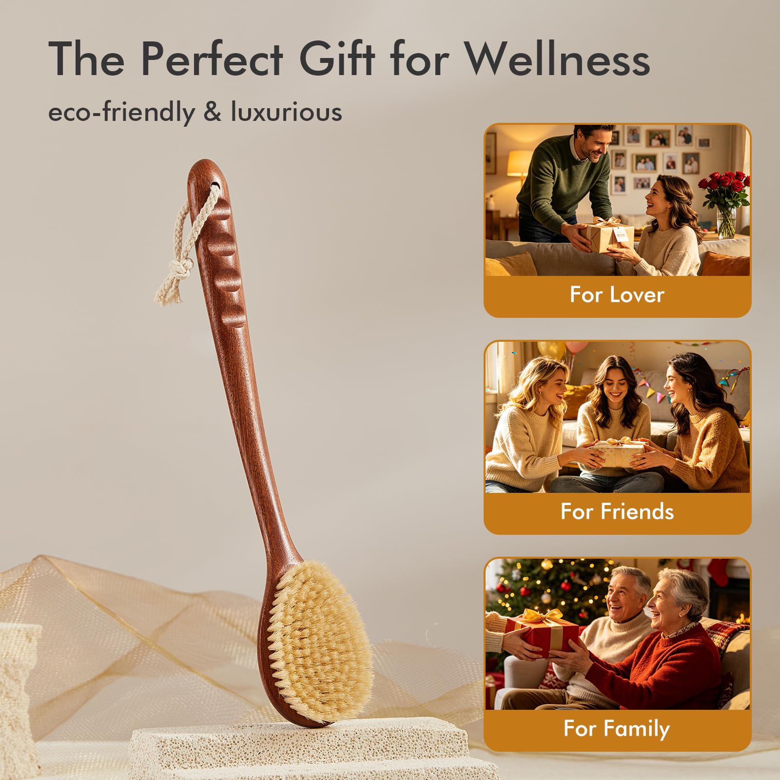 Dry & Wet Body Brush with Long Handle and Natural Boar Bristles