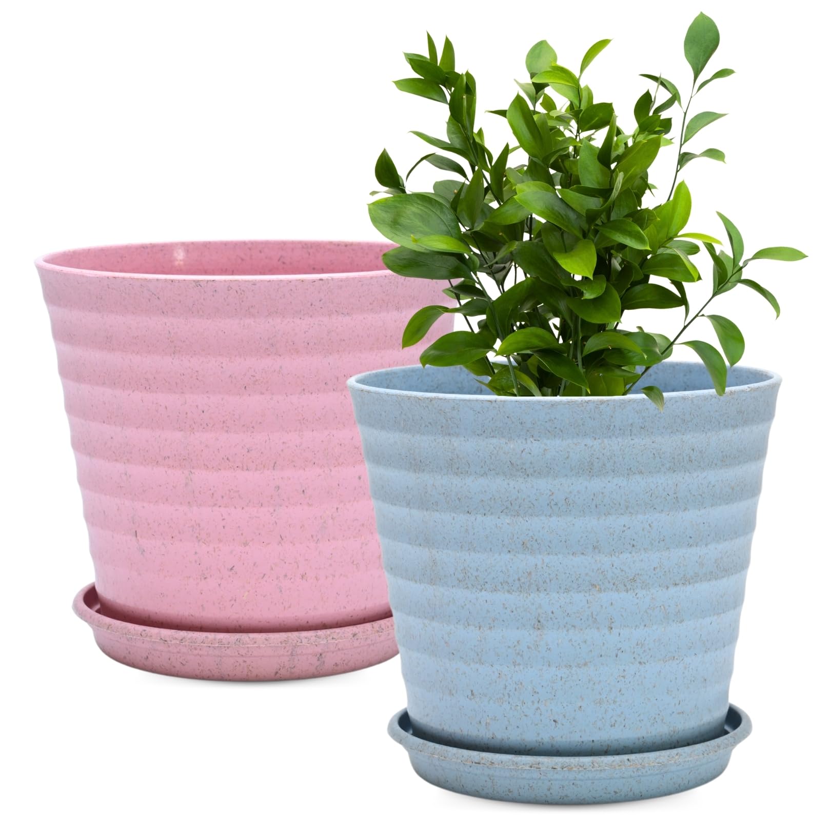 Eha Set of 2 Earth-Friendly Linea 7.5" Pots for Plants | Bamboo Based Plant Pots | UV Protected | Flower Pot for Indoor, Home Decor, Outdoor, Balcony & Garden | Inno-Azure (B0CX98S9KS) Amazon Price History, Amazon Price Tracker