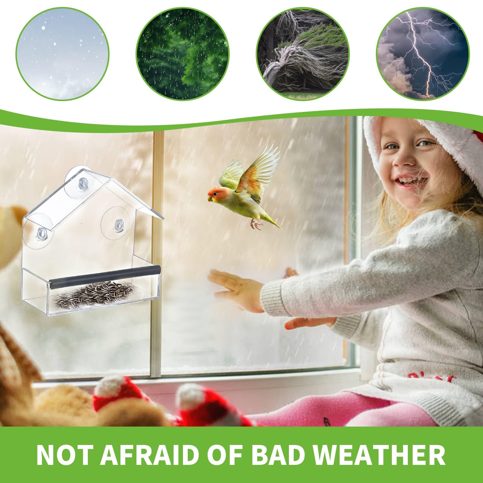 Window Bird Feeder Transparent with Super Suction Cup, Detachable Tray with Drainage Hole, Wild Bird with Roof Windproof and Rainproof Transparent Ornamental for Gardens & Outdoor - Image 4