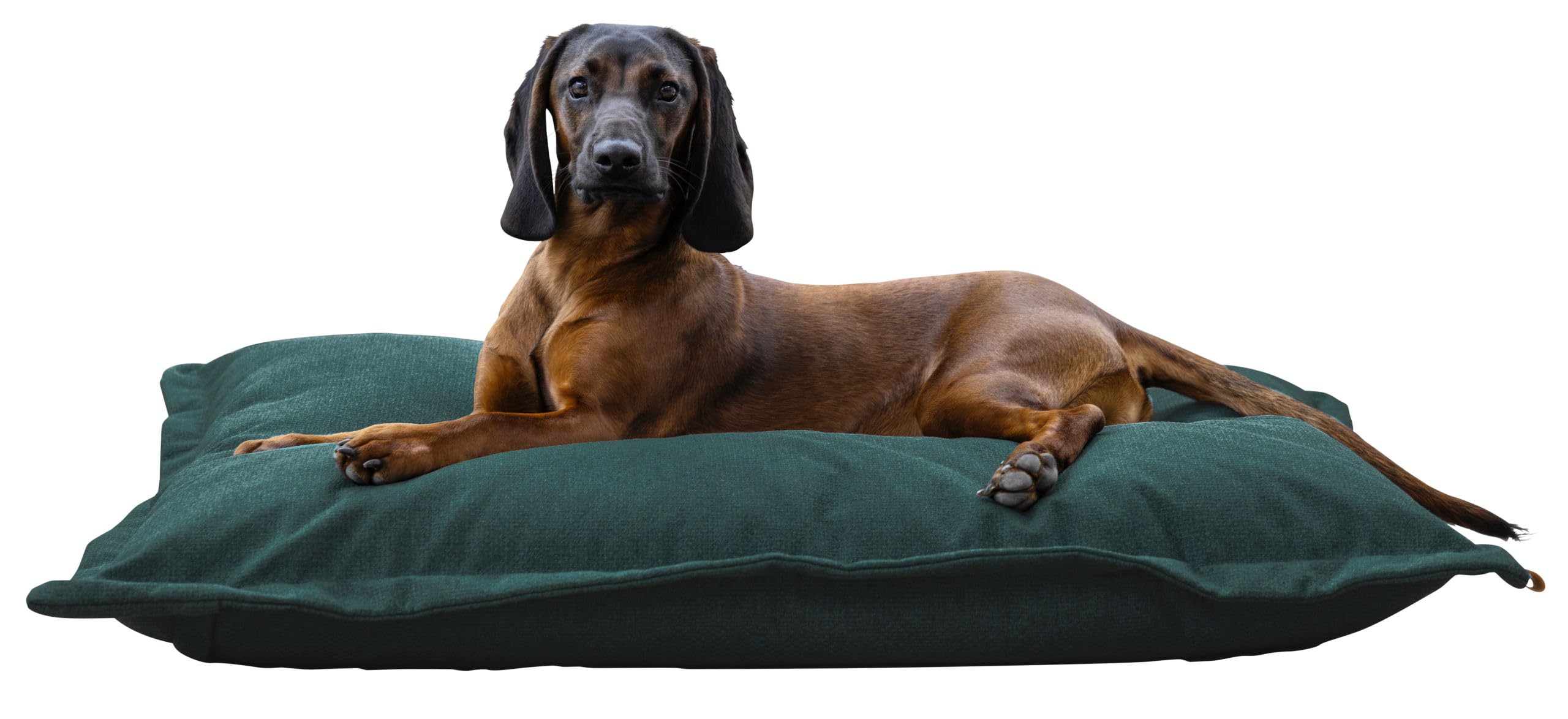 Kerbl Pet Saco de Dormir Oliver, Cama Perros, Robusto, Resistente a la abrasión, Funda Lavable, Cómodo Lugar para tumbarse, Verde inglés, 120x80x18 cm | English Green, 120 × 80 × 18 cm, cómoda cama para perros y cojín de poliéster de fácil cuidado