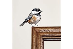 Birds Wall Stickers for Nursery, Black-Capped Chickadees Watercolor Decals