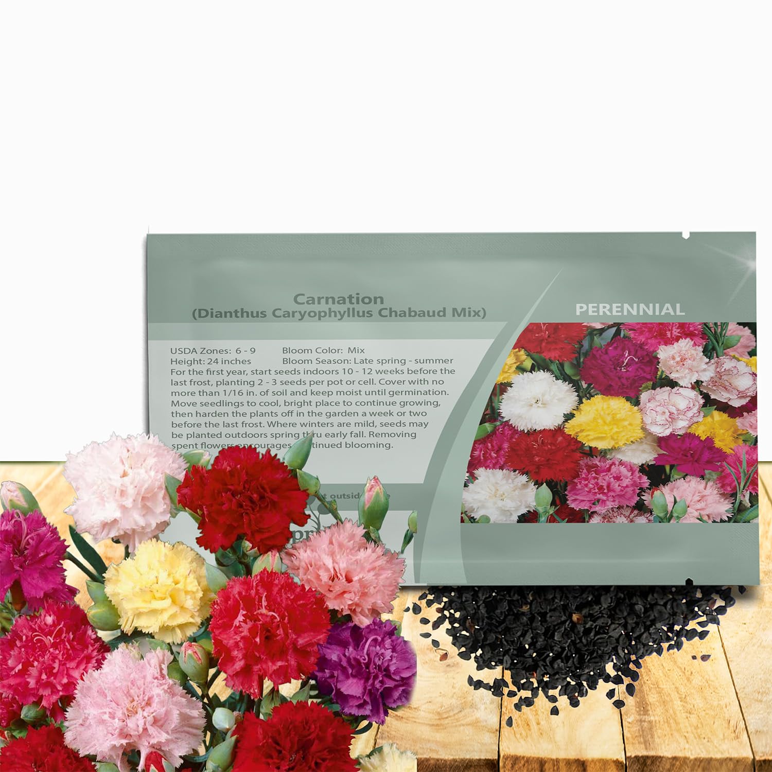 Outsidepride Chabaud Mix Carnation Seeds - 1000 Pcs Perennial, Easy to Grow Flower Seeds for Planting with Fragrant Blooms, Ideal for Pollinators, Cutting Gardens, Bouquets, & Floral Arrangements