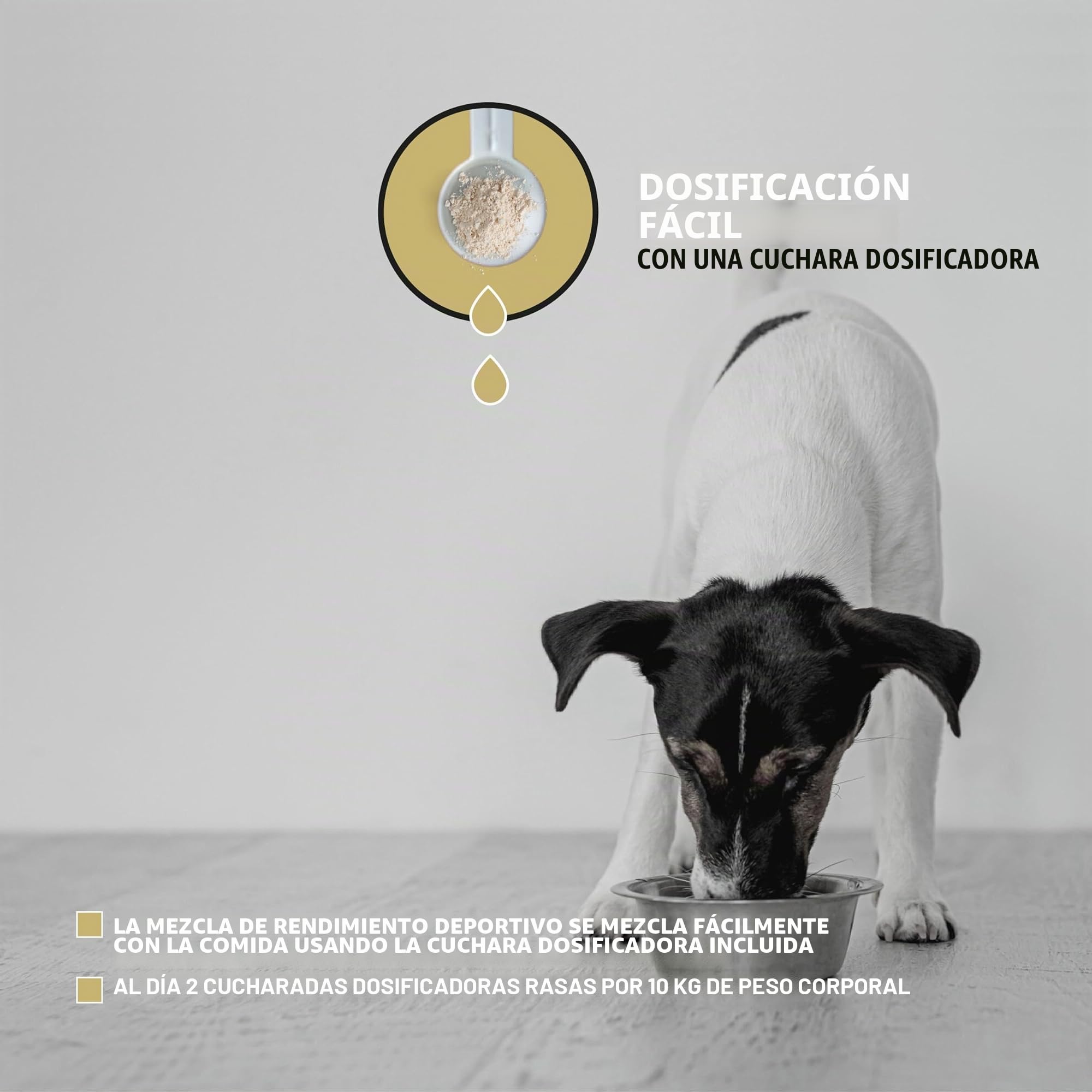 Peticare Complemento en Polvo para Perros Activos | Mezcla nutritiva para apoyar energía y Bienestar | con colágeno y Omega-3 | Calidad Suiza | petDog Health 2602