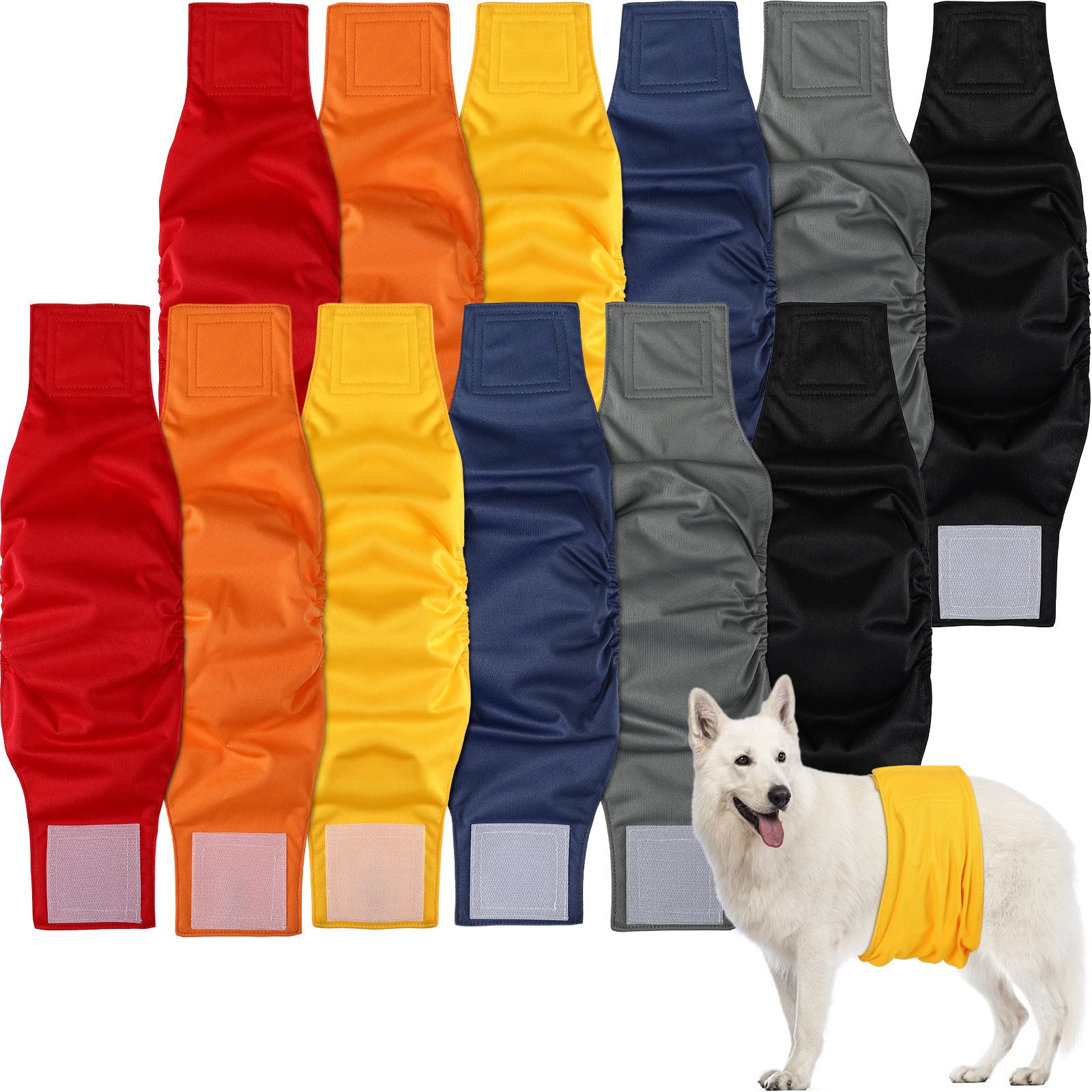 Can Boy Dogs Wear Diapers