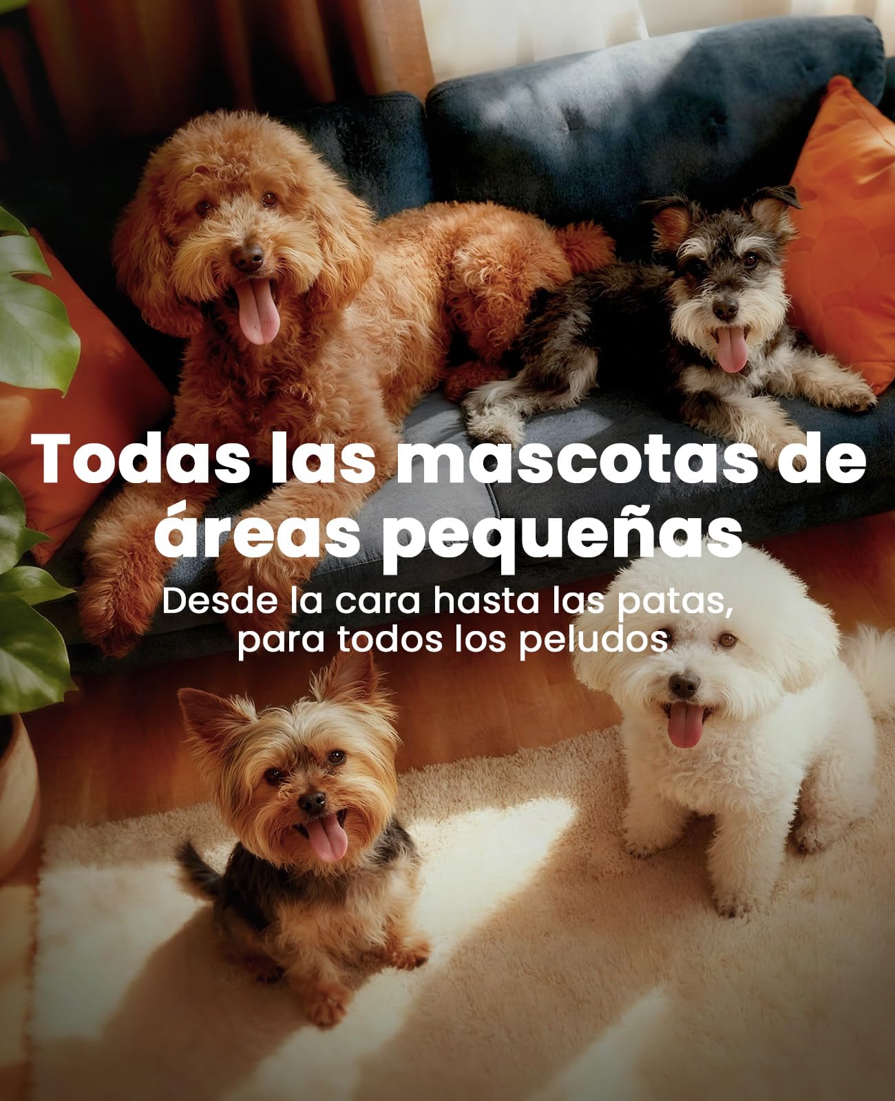 oneisall Cortapelos para perros bajo nivel de ruido para recortar el pelo de perro alrededor de las patas, los ojos, las orejas, la cara y el rump (Blanco)