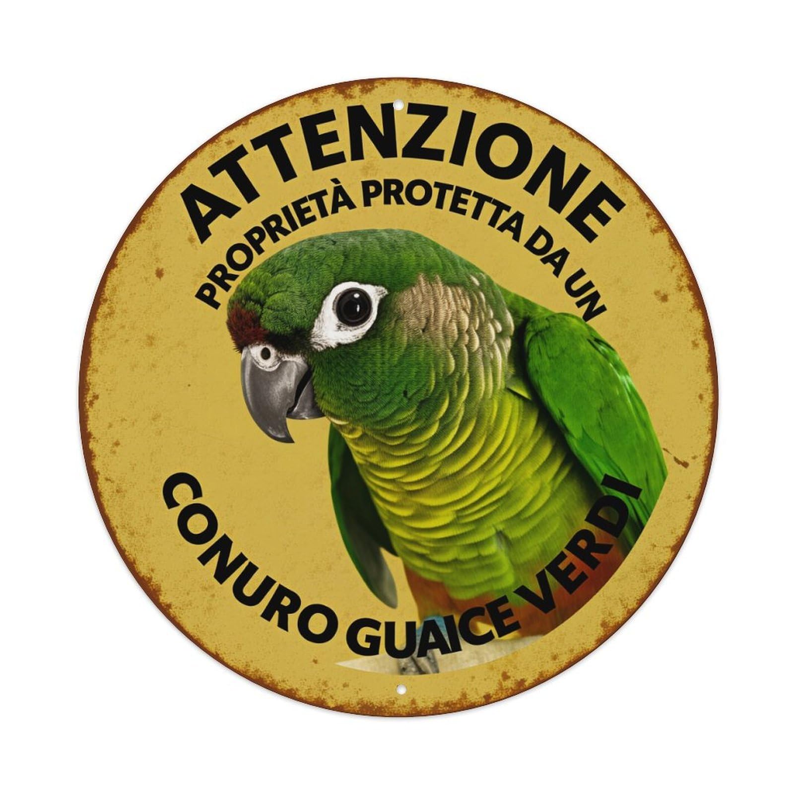Attention Property Protected By A Green Conure Round Tin Sign Vintage Metal Poster, Home Bar Garage Man Cave Cafe Indoor & Outdoor Wall Decoration 8x8Inches