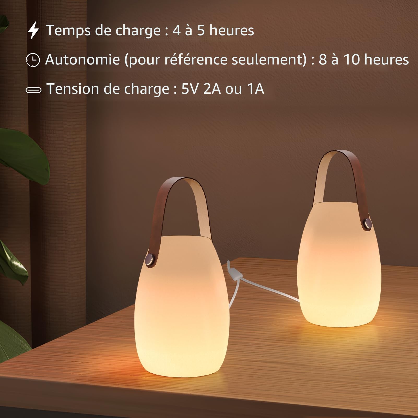 Lot de 2 lampes LED d'extérieur sans fil IP44 - Lampe de table à intensité variable avec télécommande - 8 couleurs