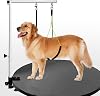 Dog Grooming Table Arm - 38 Stand Arm with Clamp and Post, Loop Noose, No Sit Haunch Holder Grooming Restraint for Small & Medium Dogs 38 H Arm Thickened Clamp, Stainless Steel Color