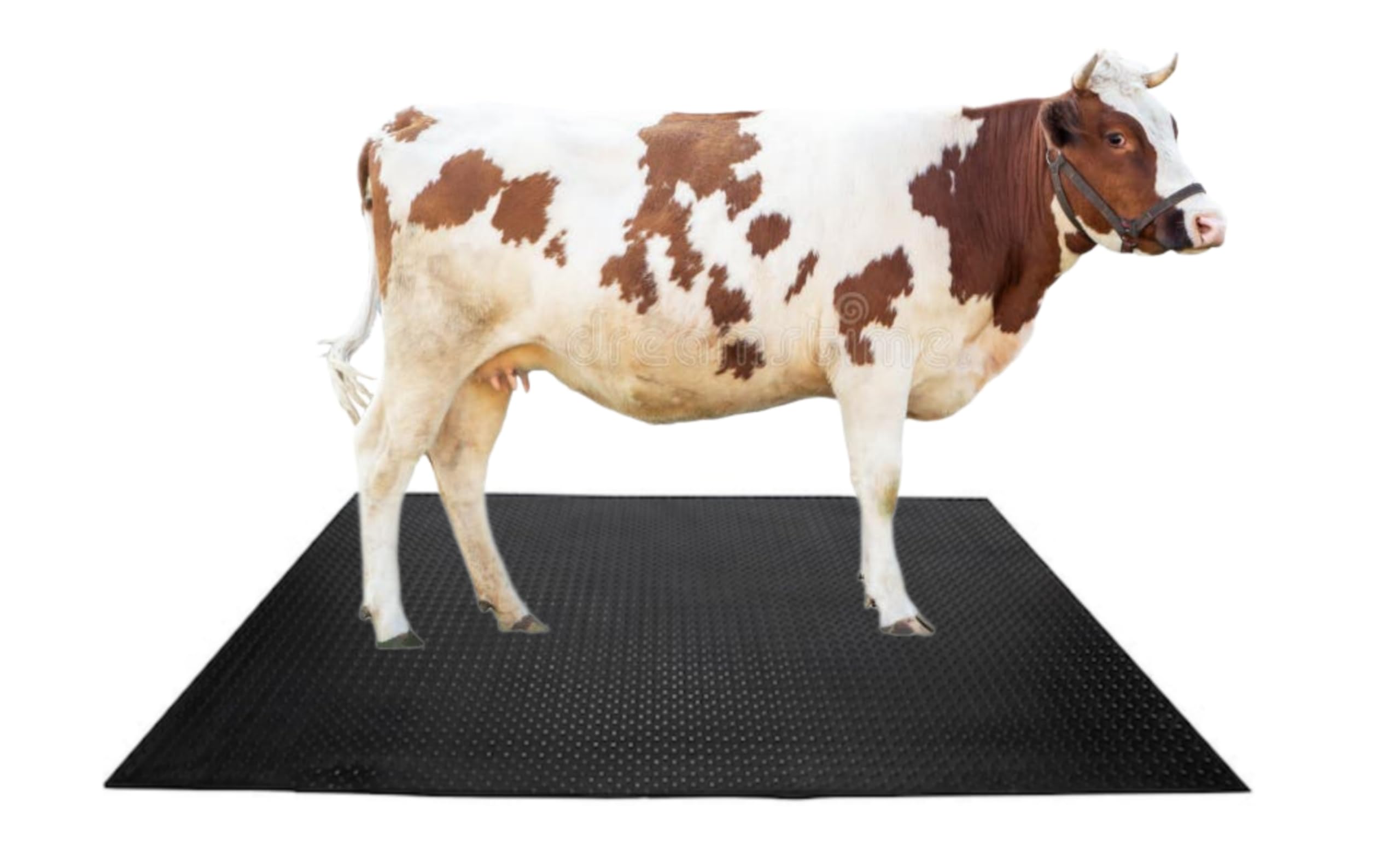 AgroCattle Big Size 8 by 5 Feet Cow Mat, 30 mm Thick, for Cow, Buffelo, Horse, Bull, BPA- Free and Easy to Clean (B0D4JVY7Z3) Amazon Price History, Amazon Price Tracker