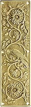 Tropical Parrot Push Plate in Solid, Cast Brass - coolthings.us