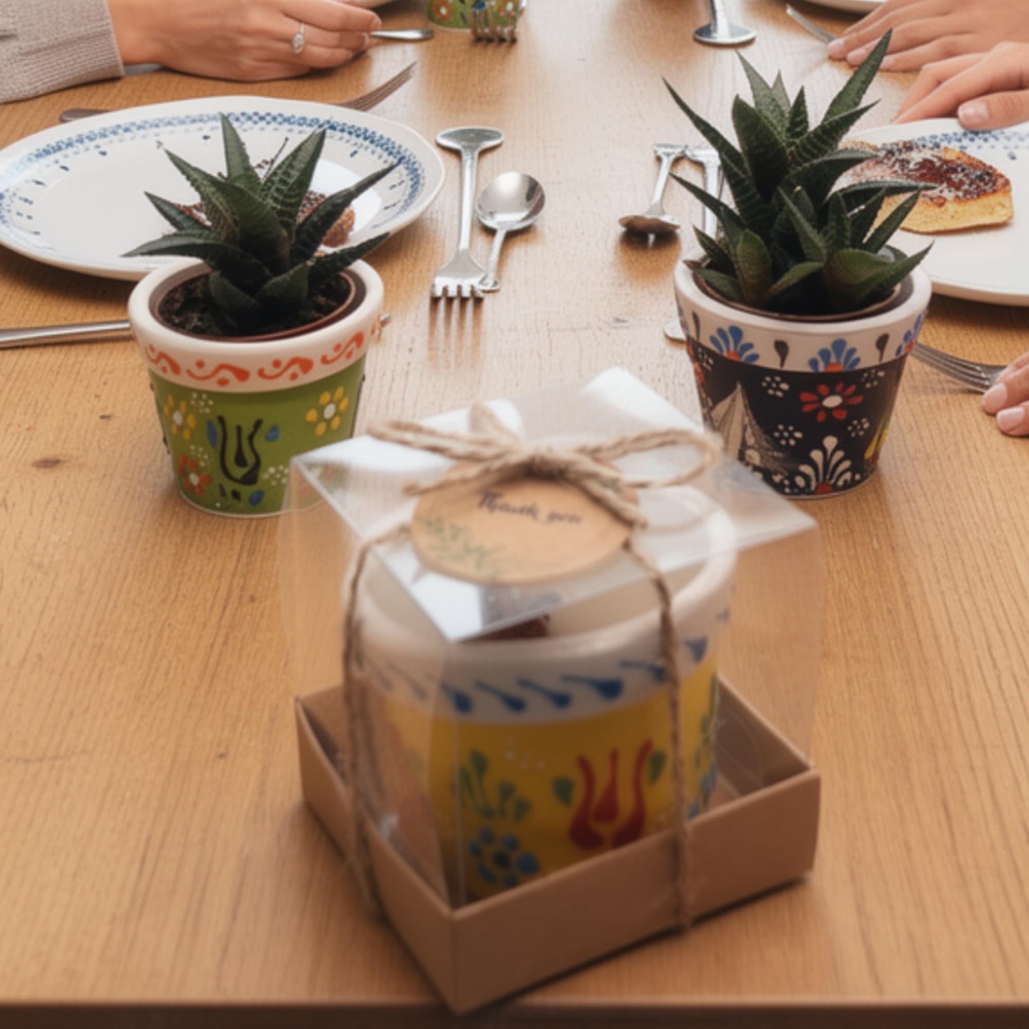 Bomboniere per addio al nubilato per ospiti, vaso in ceramica per piante grasse in scatola, bomboniere per gli ospiti, sfuso, regalo per feste in spiaggia, piante grasse vive non include