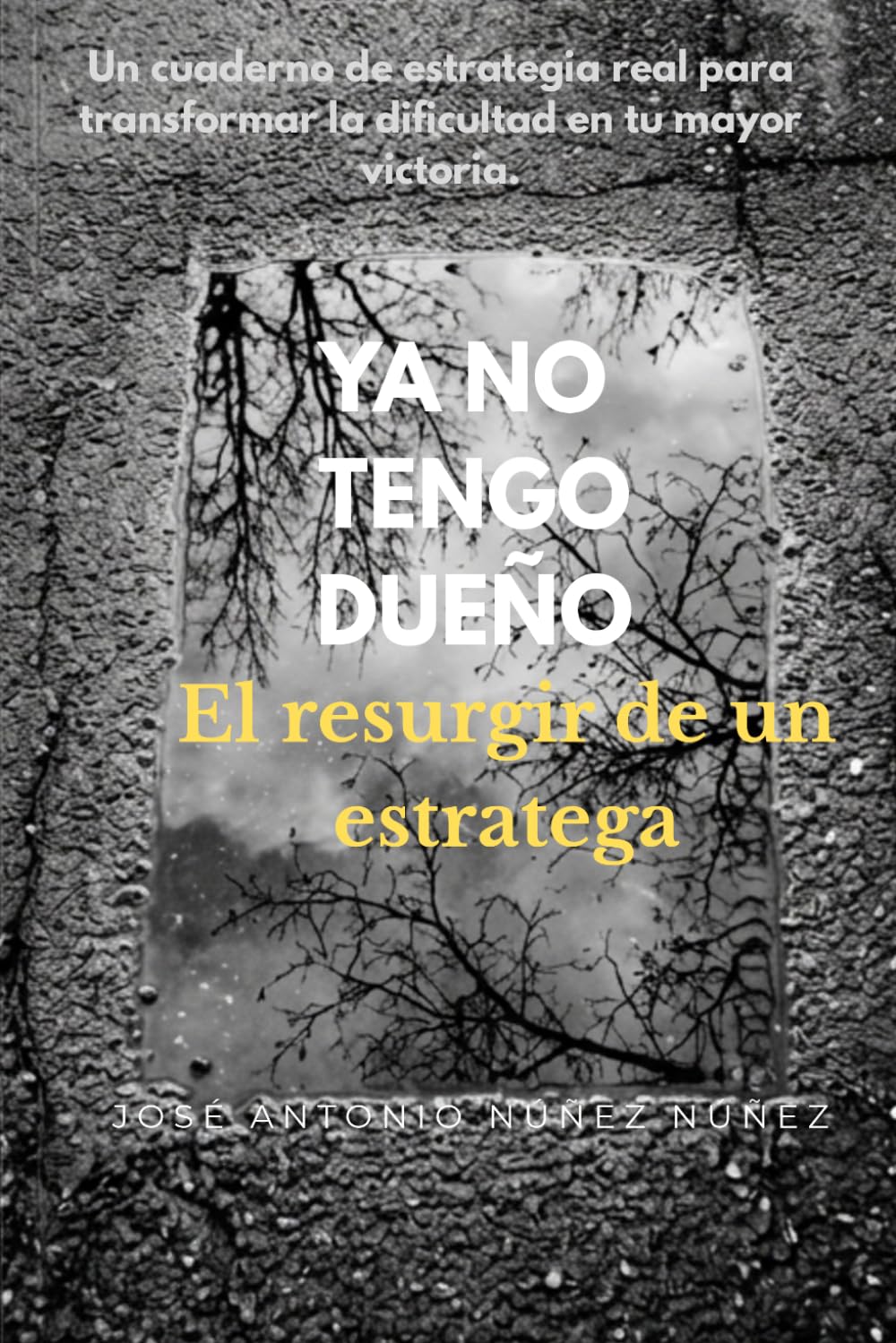 YA NO TENGO DUEÑO: El resurgir de un estratega