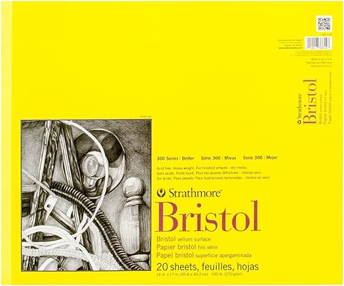 Strathmore 300 Series Bristol bloc de 20 hojas, 14 pulgadas x 17 pulgadas