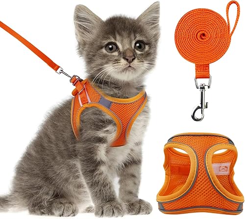 Miniatura 7 de Arnés y correa para gato, chaleco de malla reflectante para caminar al aire libre, arnés a prueba de escapes, chaleco para cachorro, ajuste cómodo,
