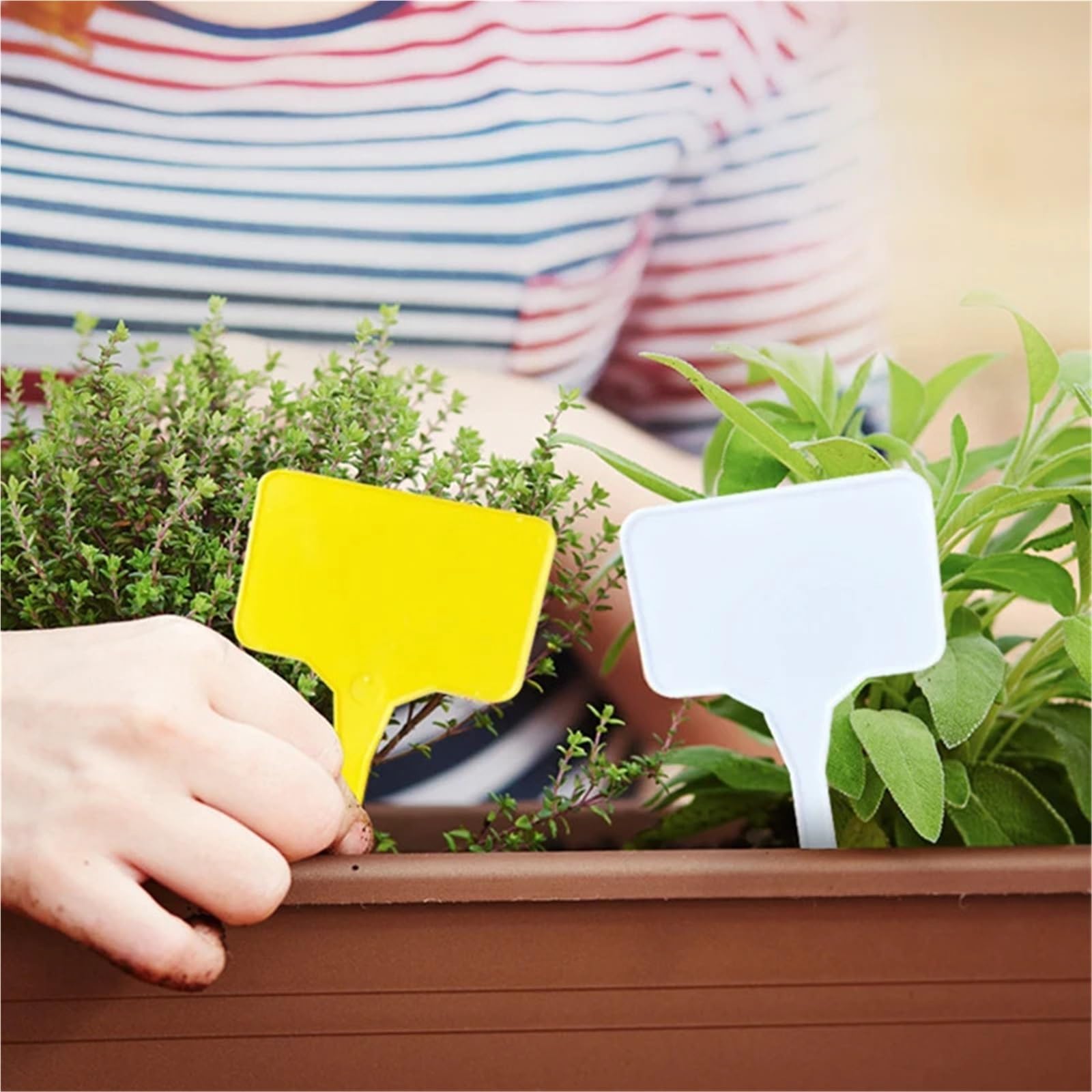 Etiquette Jardin Étiquettes de plantes jardin, étiquettes nom serre maison, outils marqueurs d'étiquettes graines étanches 10/50/100 pièces(White,100pcs)