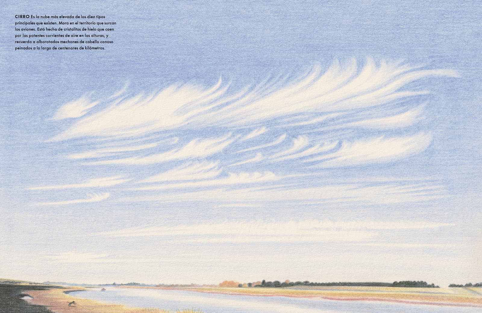 Observar las nubes (CONOCIMIENTO)