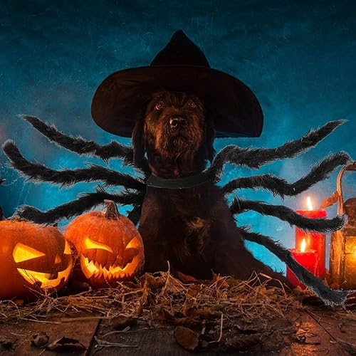 Miniatura 2 de Disfraz de Halloween para mascotas, perros, sudadera de arañas, ropa de cosplay, ropa para mascotas, perros, Halloween, divertido, perro, cachorro,
