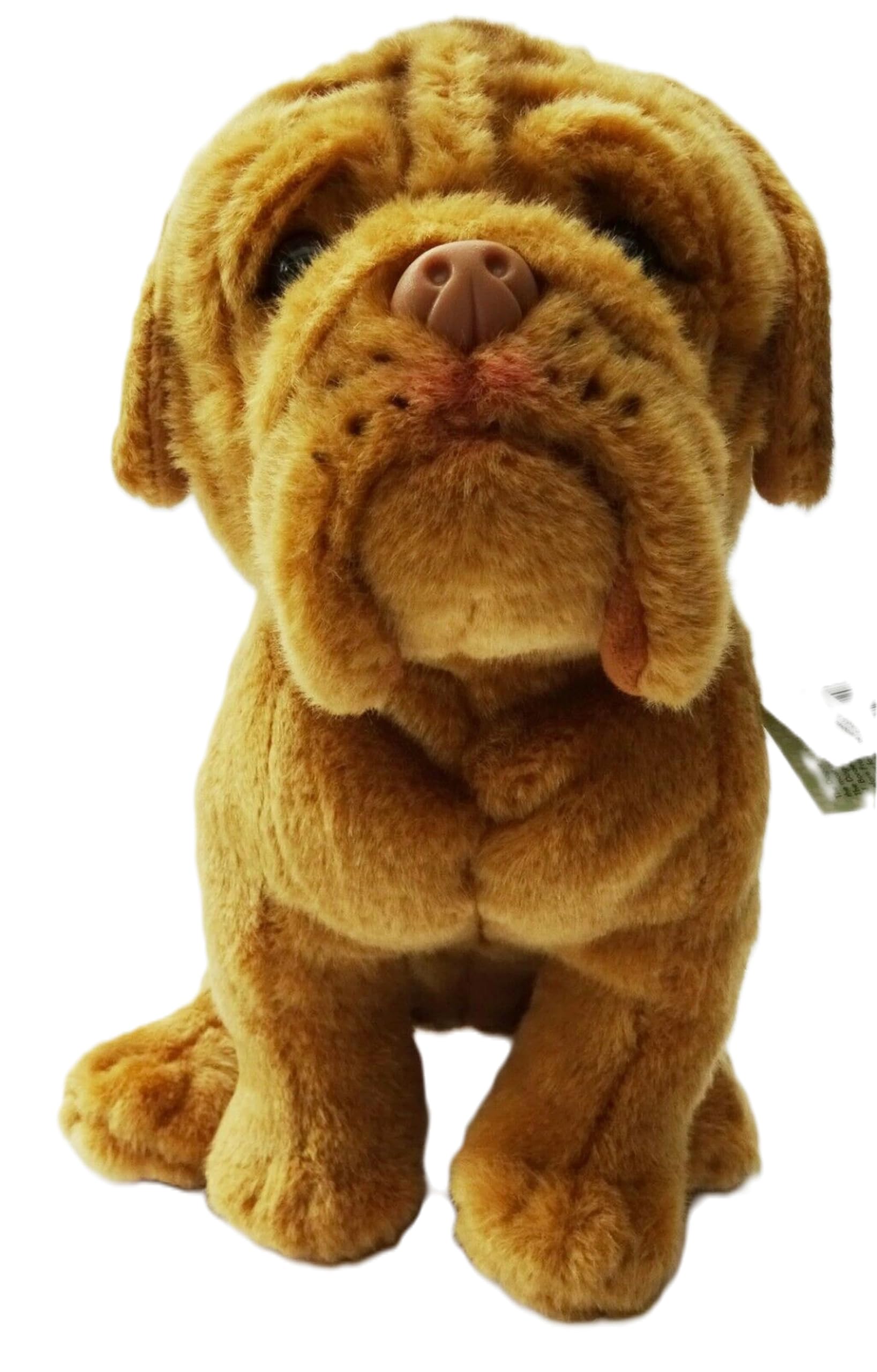 Dogue De Bordeaux Plush Toy Dog Plushie Can Be Personalized & Customized With An Engraved Tag, Collar and Stunning Gift Wrap
