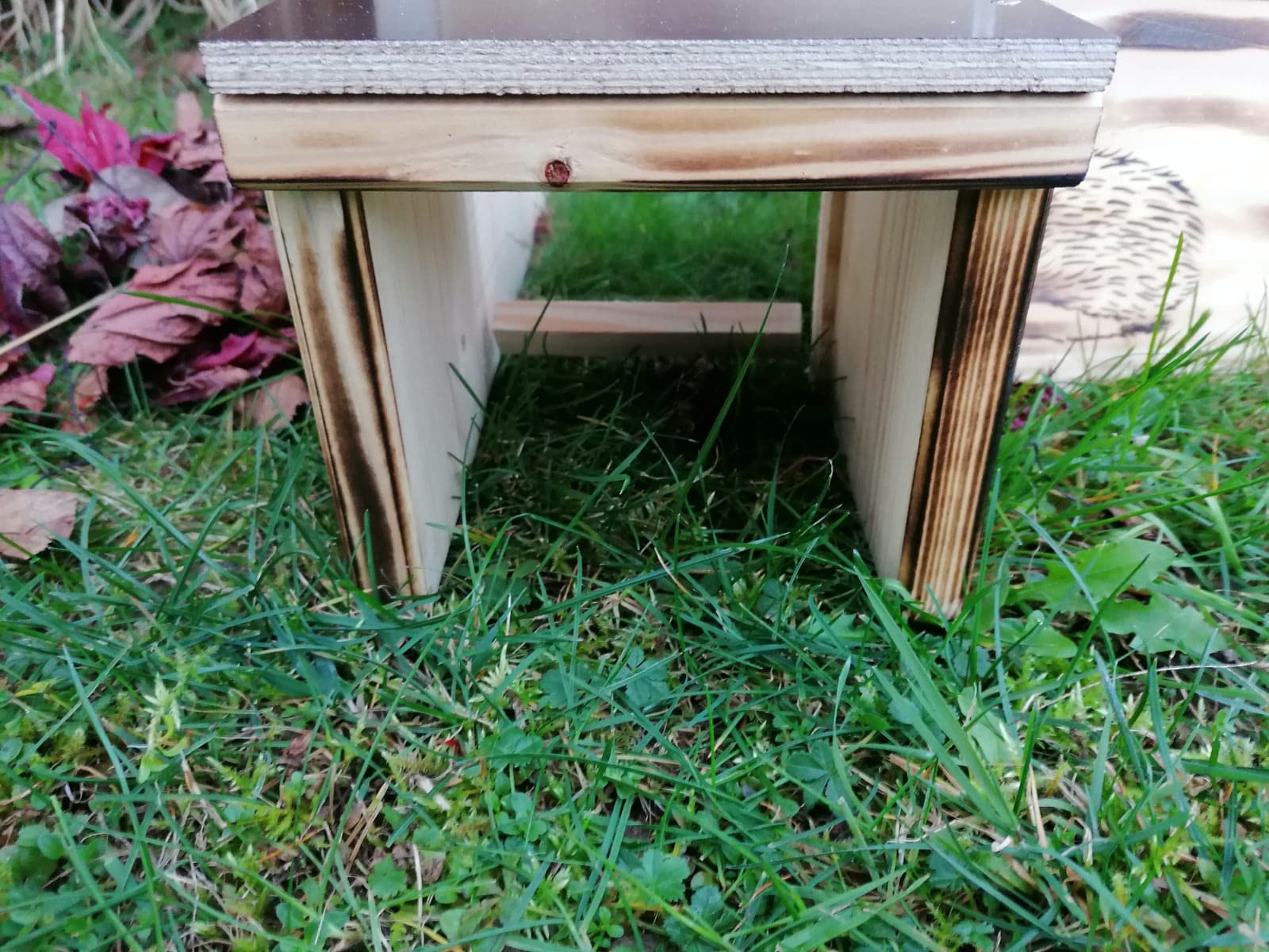 Casetta per ricci per ricci (IG7) bruciata con ingresso labirinto e patta in rattan e apertura per tetto rimovibile per una facile pulizia
