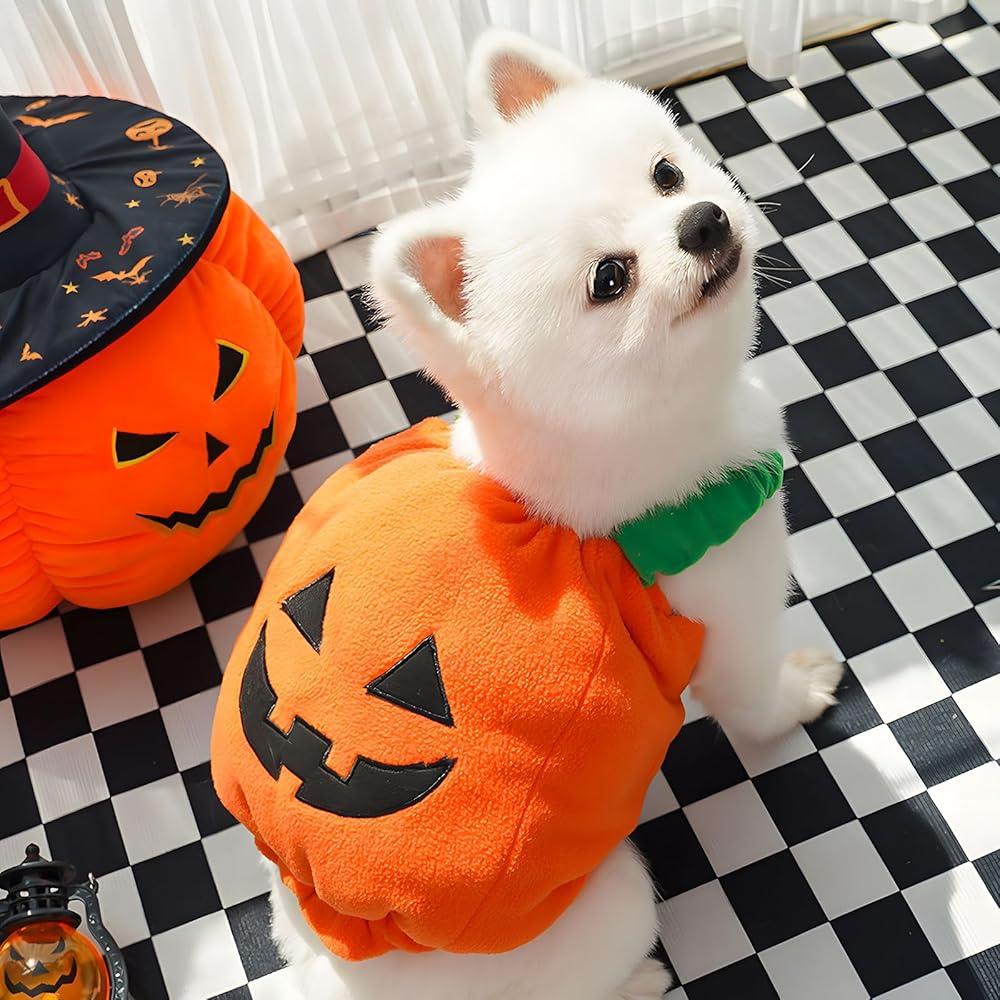 PETCARE Plush Pumpkin Costume for Small & Medium Pets thumbnail 3