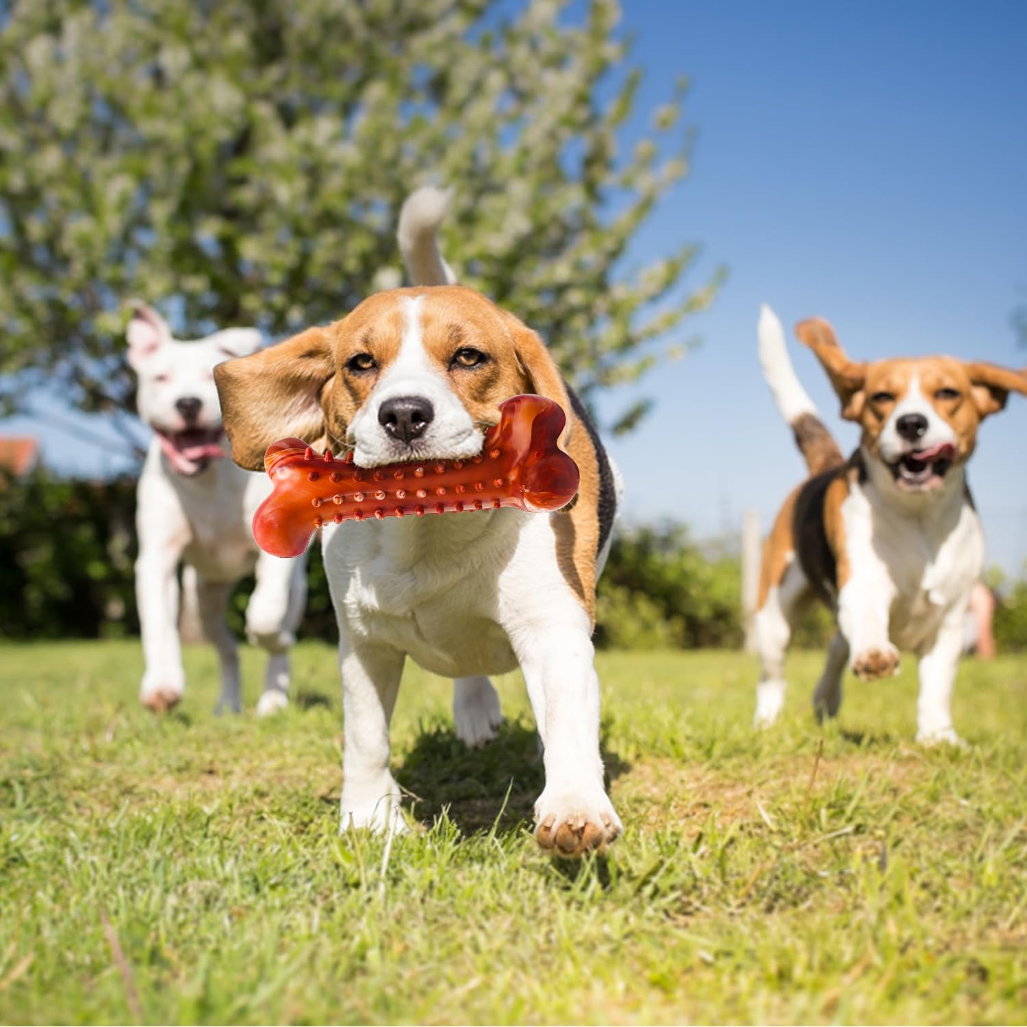 Giochi per Cani Indistruttibile Osso da Masticare in Gomma Durevole per Pulizia Denti Interattivi per Cani Aggressivi Piccoli Medio Grande