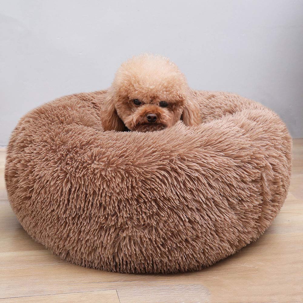 BODISEINT Modern Soft Plush Round Pet Bed for Cats or Small Dogs Mini Medium Sized Dog Cat Bed Self Warming Autumn Winter Indoor Snooze Sleeping Cozy Kitty Teddy Kennel (20'' D x 8'' H - Image 3