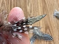 Review Image by Nina Nina